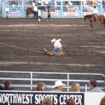 Rodeo lasso