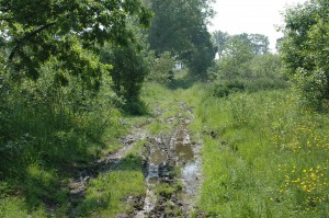 Cykelsemester Sassnitz-Gdynia 005