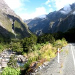 Milford Sound berg